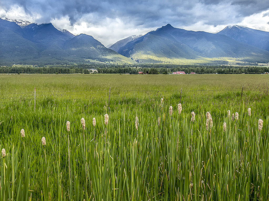 Bitterroot Mountains